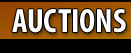 Auctions